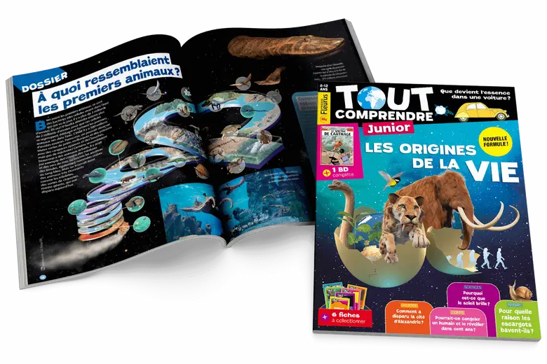 magazine tout comprendre junior idee cadeau ans