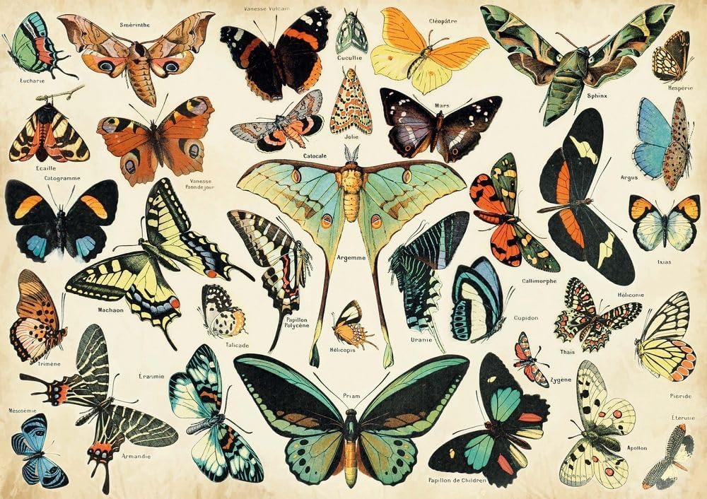 puzzle michele wilson papillons