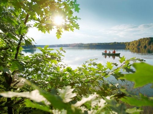 center parcs le bois aux daims activites