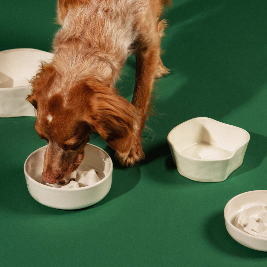 gamelle anti glouton pour chien en argile ecrue