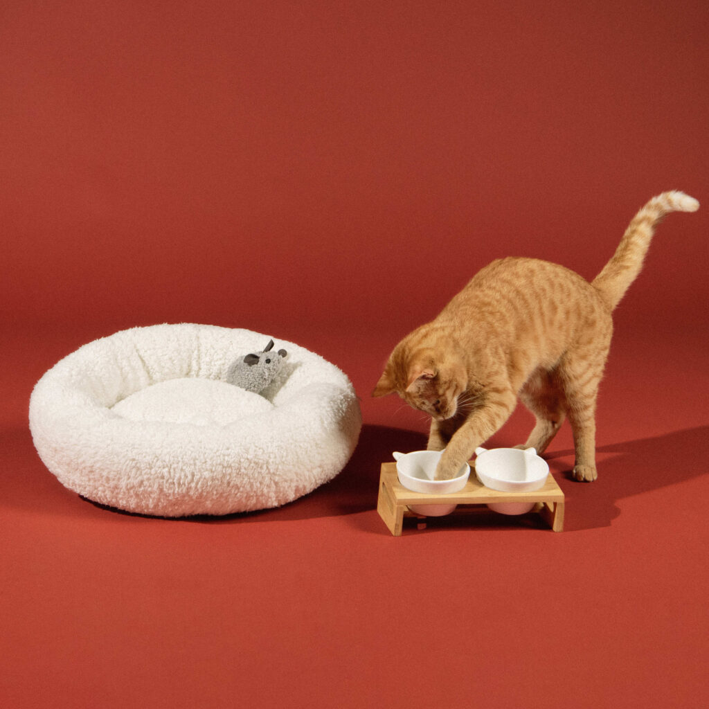 gamelles chat panier chat