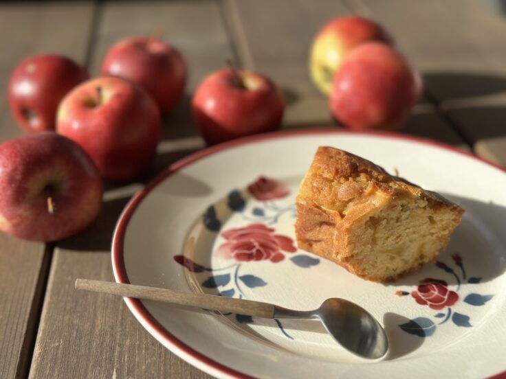 gateau moelleux aux pommes