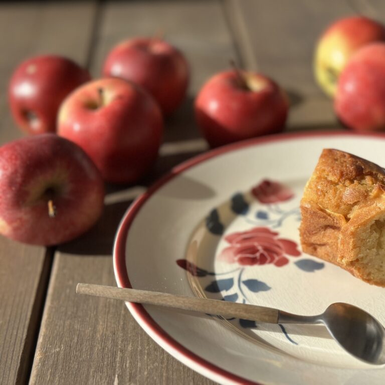 gateau moelleux aux pommes