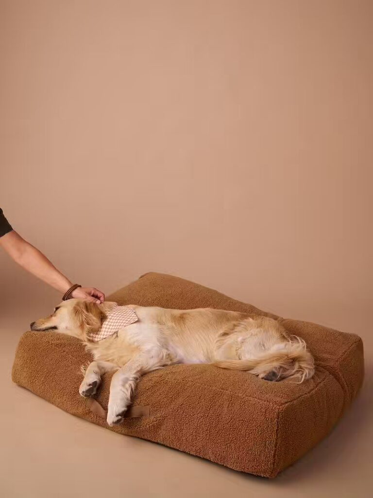 matelas xl pour chien