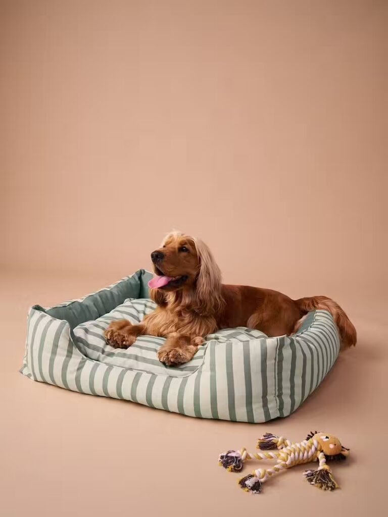 panier en toile de coton pour chien